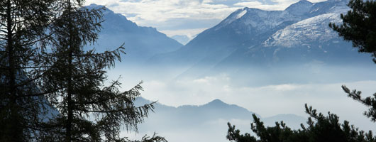 电话验证码轰炸平台