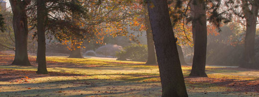 手机号在线轰炸测试